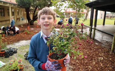 Win a Tucker Bush garden for your school