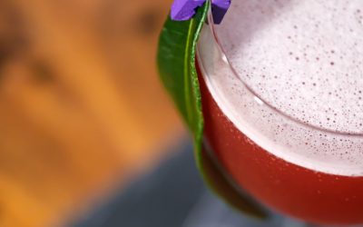 7 Classic Cocktails with a Bushfood Twist