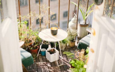 Exotic & Bushfood Plant Pairings For A Gorgeous Balcony Garden